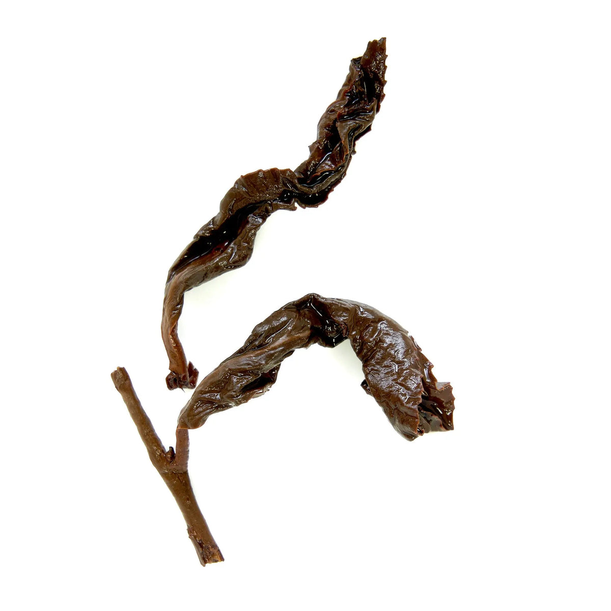 Individual twisted and roasted Taiwanese oolong tea leaves from August Black Pearl